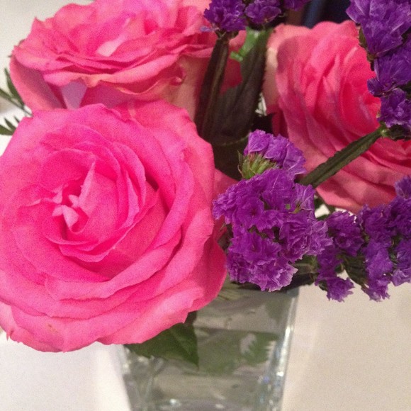 Meet your Posher, Leila - Picture 1 of 1